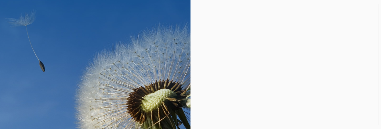 組 22.png